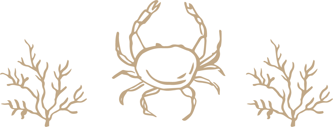 adorno